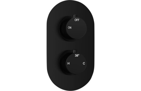 Aquila Thermostatic Single Outlet Twin Shower Valve - Matt Black