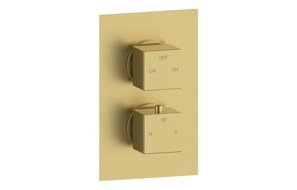 Sagittarius Thermostatic Two Outlet Twin Shower Valve - Brushed Brass