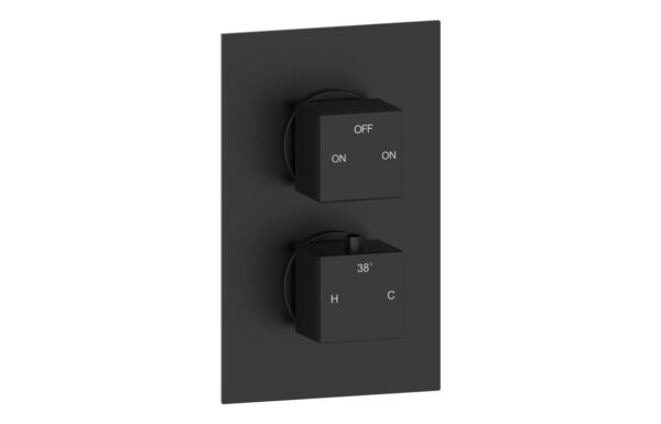 Sagittarius Thermostatic Two Outlet Twin Shower Valve - Matt Black