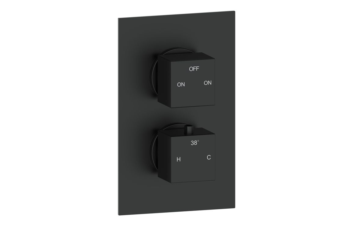 Sagittarius Thermostatic Two Outlet Twin Shower Valve - Matt Black