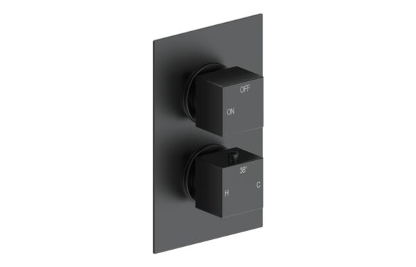 Sagittarius Thermostatic Single Outlet Twin Shower Valve - Matt Black