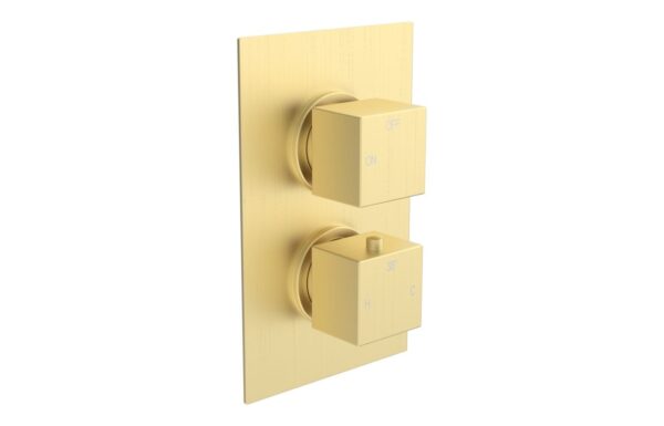 Sagittarius Thermostatic Single Outlet Twin Shower Valve - Brushed Brass