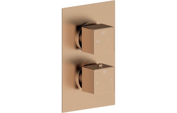 Sagittarius Thermostatic Single Outlet Twin Shower Valve - Brushed Bronze