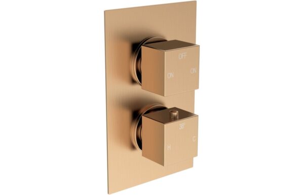 Sagittarius Thermostatic Two Outlet Twin Shower Valve - Brushed Bronze