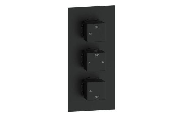 Sagittarius Thermostatic Two Outlet Triple Shower Valve - Matt Black