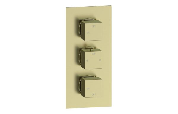 Sagittarius Thermostatic Two Outlet Triple Shower Valve - Brushed Brass