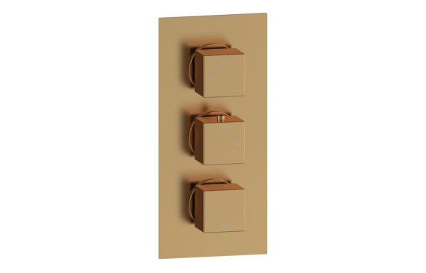 Sagittarius Thermostatic Two Outlet Triple Shower Valve - Brushed Bronze