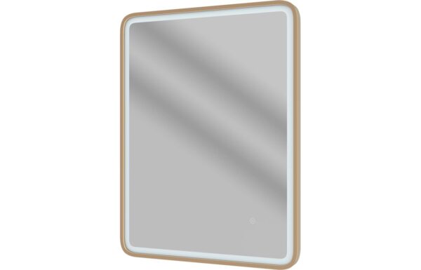 Houston 600mm Rectangle Front-Lit LED Mirror - Brushed Bronze